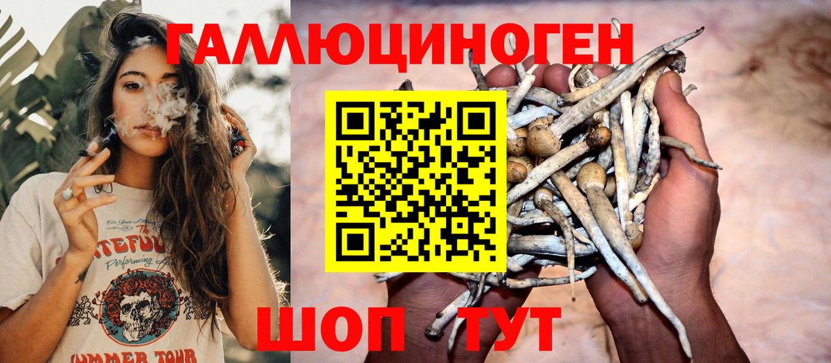 Ростов-на-Дону  Псилоцибиновые грибы ЛСД  Вход с VPN  Псилоцибиновые грибы мухоморы 